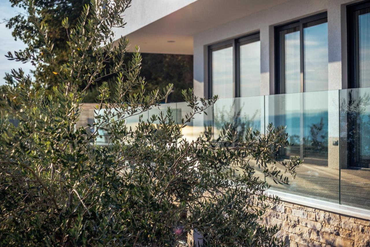 Villa Dispet With Heated Pool, Jacuzzi, Sauna And Cinema Celina Luaran gambar